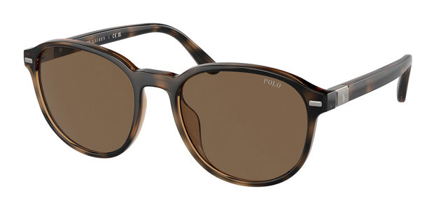 Polo Ralph Lauren PH4207U 597473 Oval Shiny Tortoise 