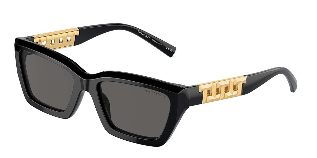 Tiffany & Co. TF4213 8001S4 Cat Eye Black Sunglasses