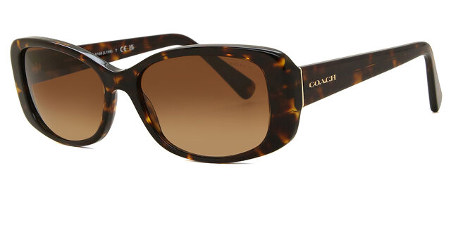 Coach HC8168 (L156) Dark Tortoise Sunglasses Frames 57-16-135mm Coach HC8168 L156 512013 Rectangle Dark Tortoise Sunglasses  main image 4