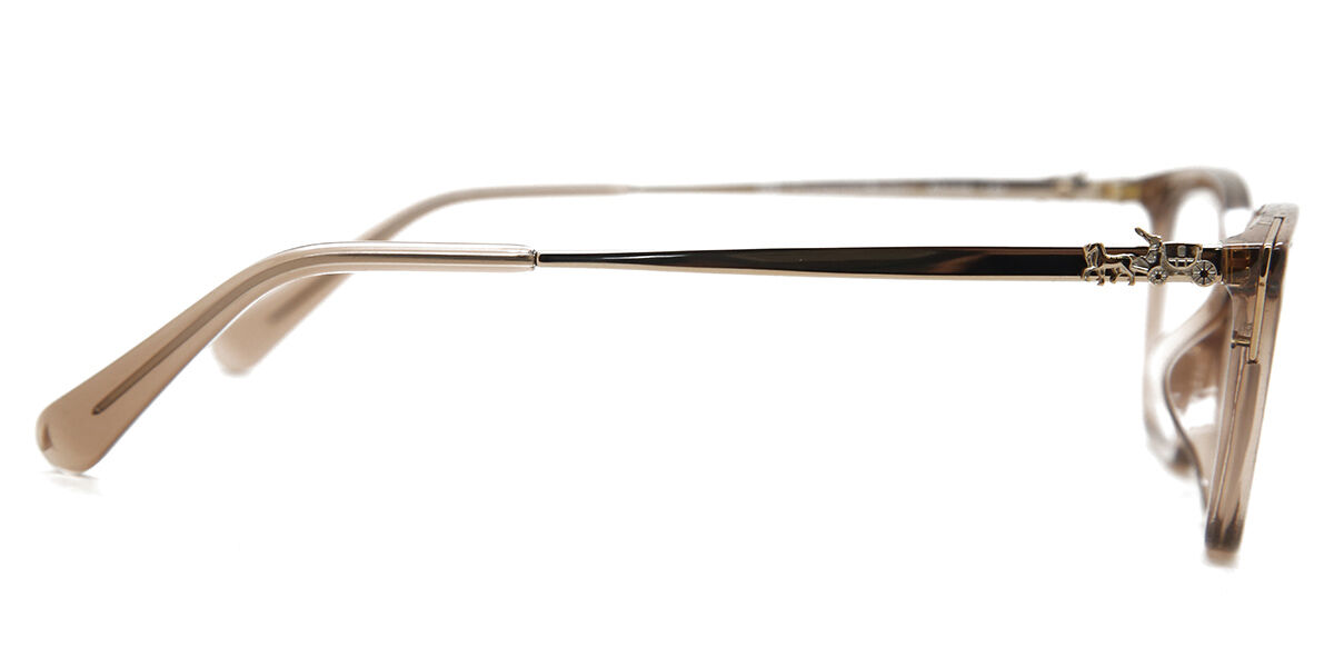 Coach HC6146U 5561 Rectangle Transparent Brown Eyeglasses